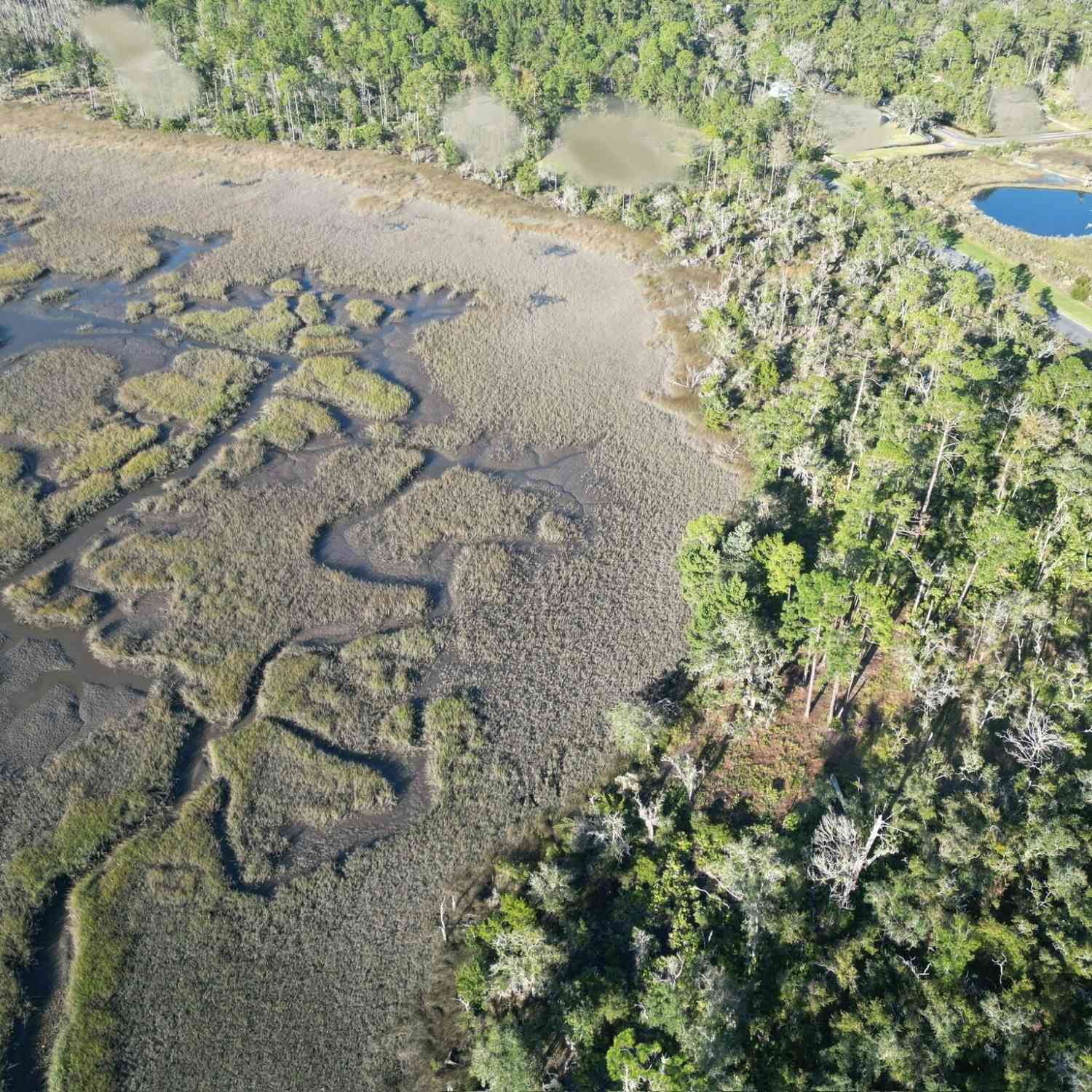 Vacant Land For Sale - V/L 120 Marina Isle Drive<br/> Woodbine, GA 31569