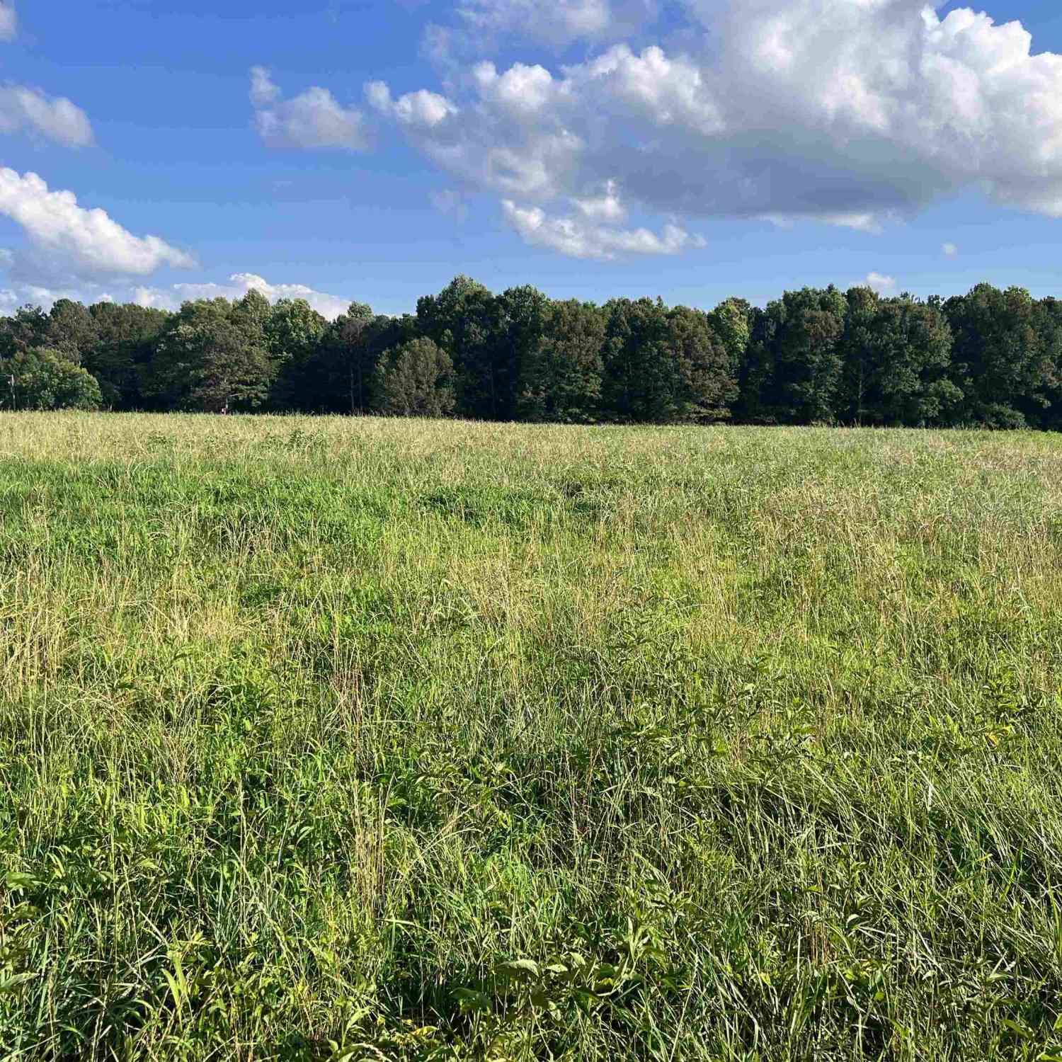 Vacant Land For Sale - Lowell Road<br/> Carrollton, GA 30116