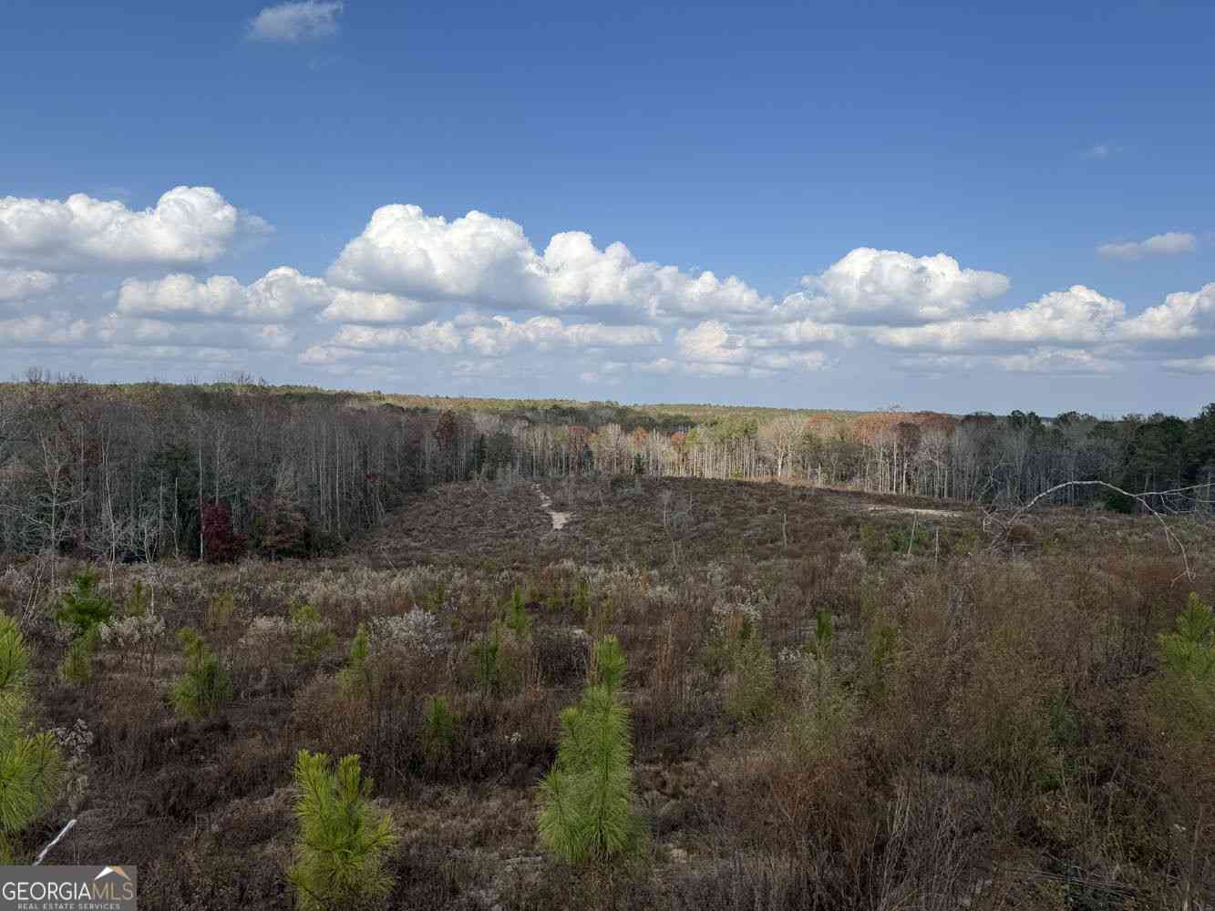 Vacant Land For Sale - 994 Joe Jones Road<br/> Macon County, Ideal, GA 31041