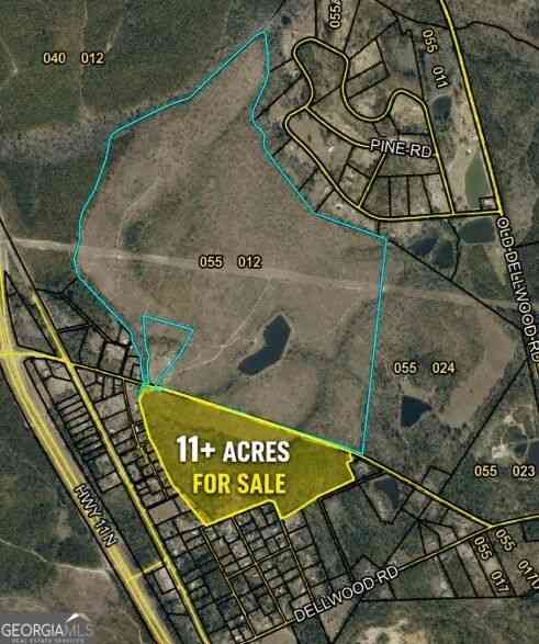 Vacant Land For Sale - 150 Bird Flanders Road<br/> Swainsboro, GA 30401