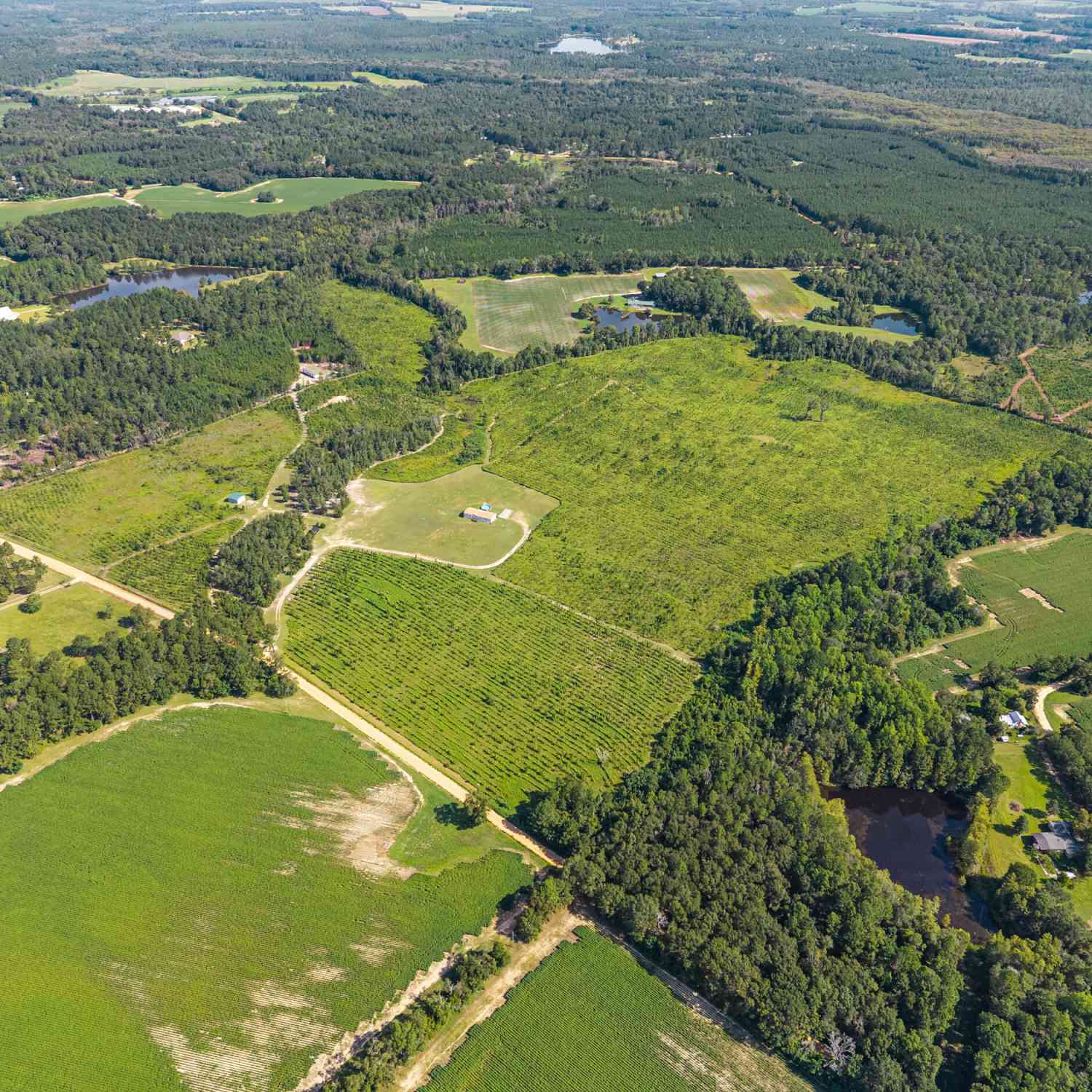 Vacant Land For Sale - 1802 Moore Road S<br/> Register, GA 30452