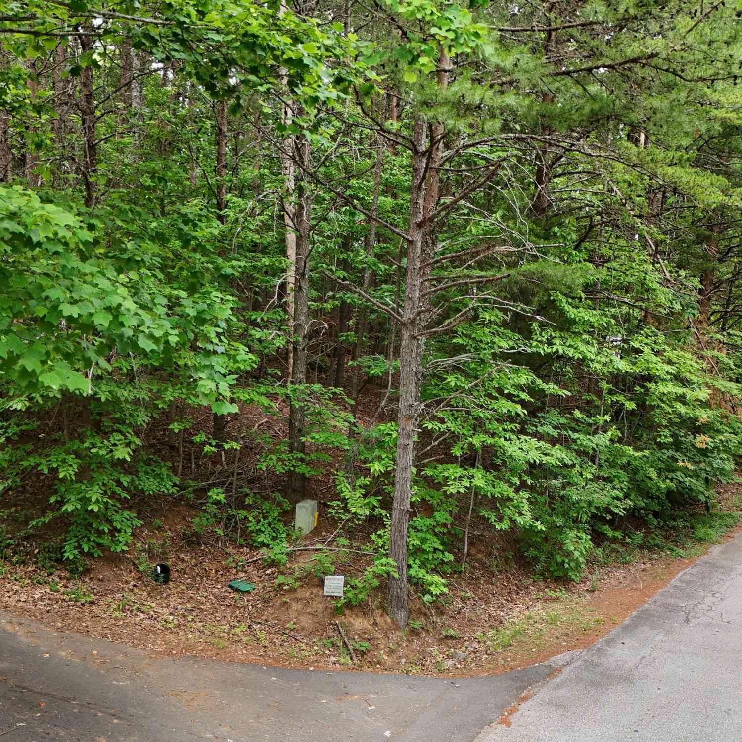 Vacant Land For Sale - LOT B2 Starlight Drive<br/> Sautee Nacoochee, GA 30571
