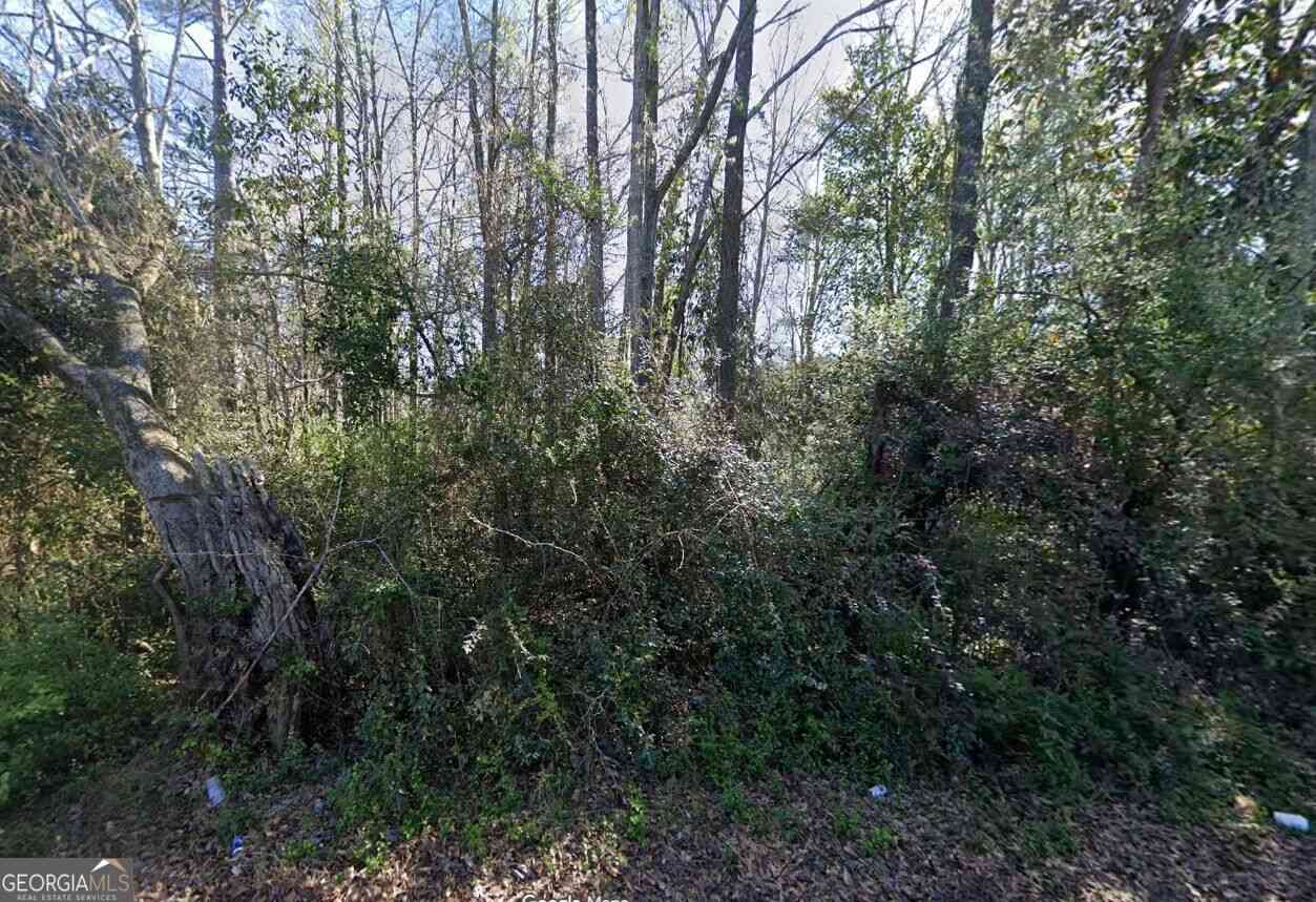 Vacant Land For Sale - 33 E Woodard Road<br/> Hogansville, GA 30230