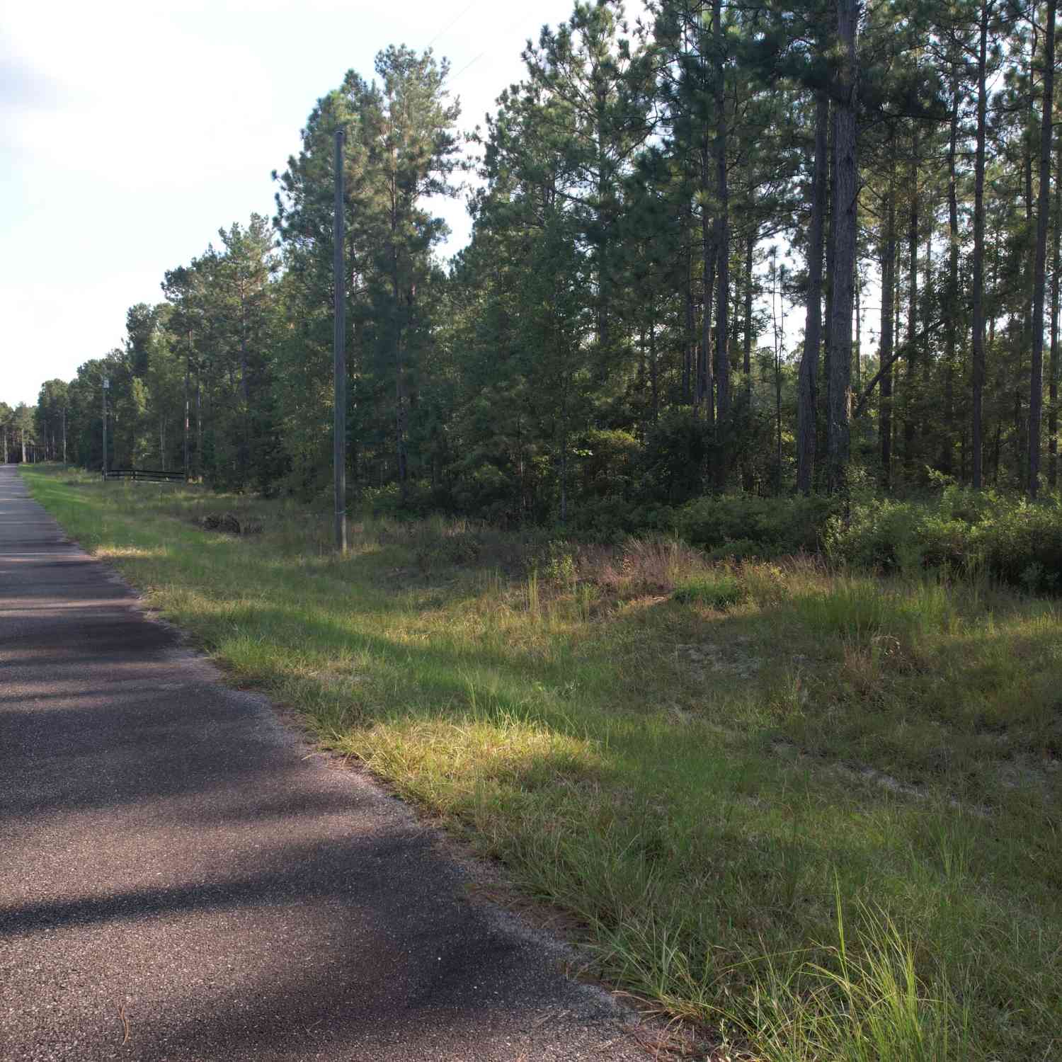 Vacant Land For Sale - Regina Drive<br/> Dublin, GA 31021