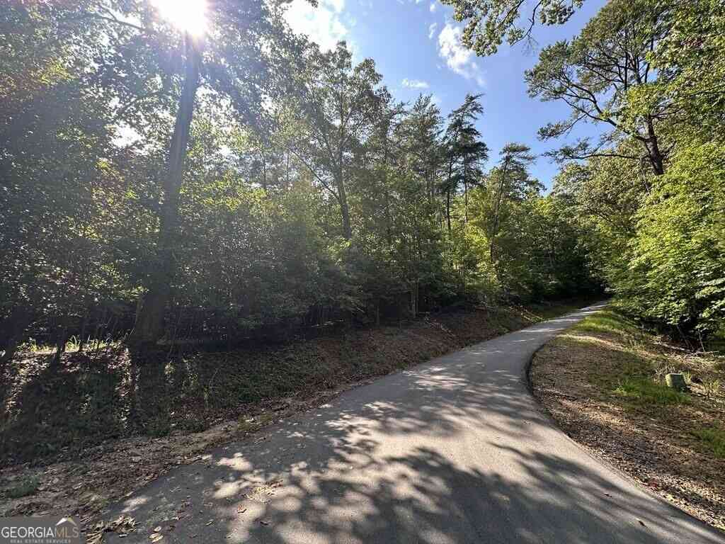 Vacant Land For Sale - Stonefly Cove<br/> Hayesville, NC 28904