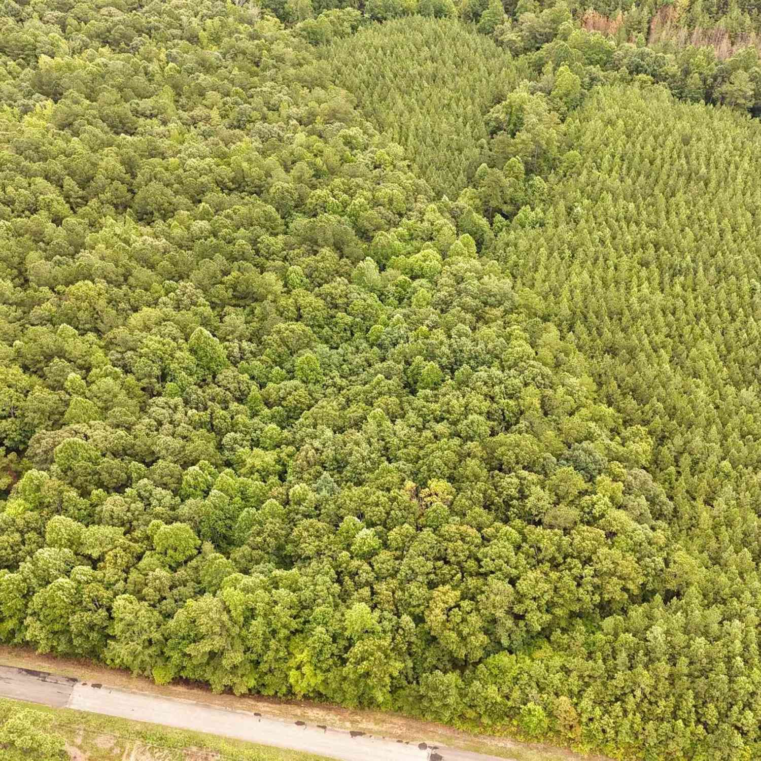 Vacant Land For Sale - County Road 33<br/> Fruithurst, AL 36262