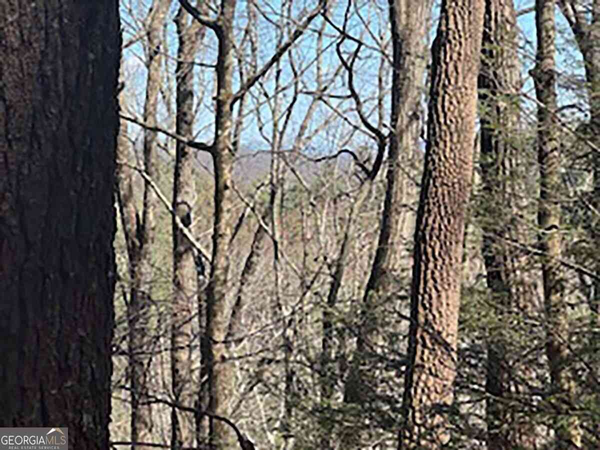 Vacant Land For Sale - LOT 14 Butler Creek Road<br/> Cherry Log, GA 30522
