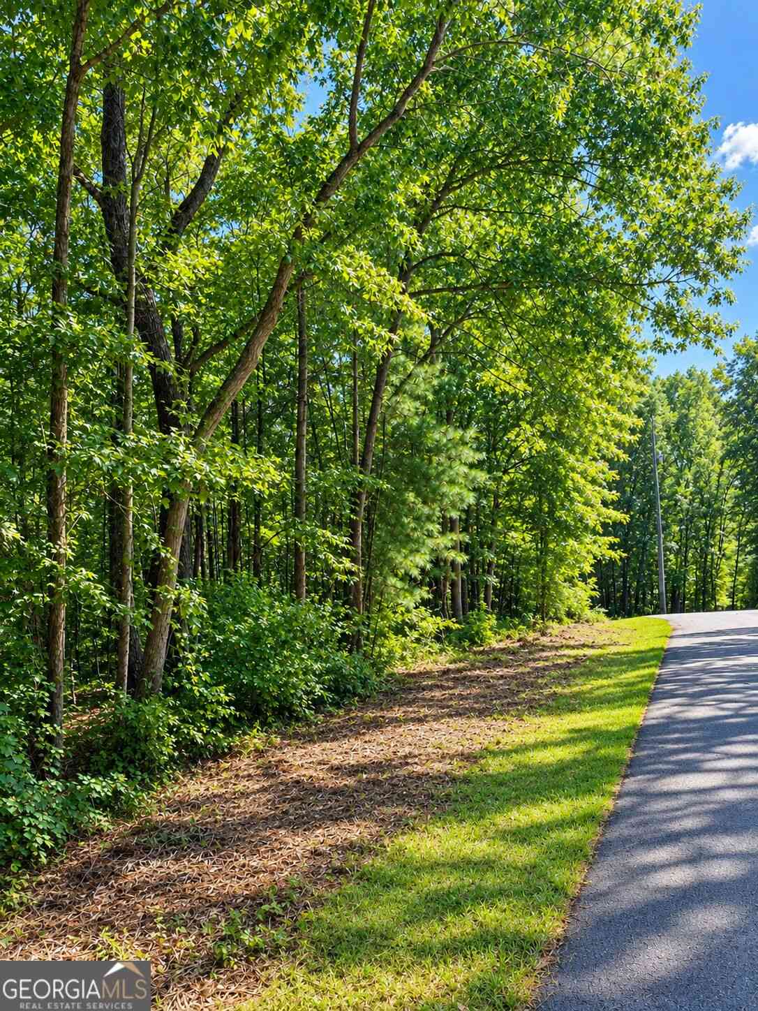 Vacant Land For Sale - LOT 24 Oak Ct<br/> Toccoa, GA 30577