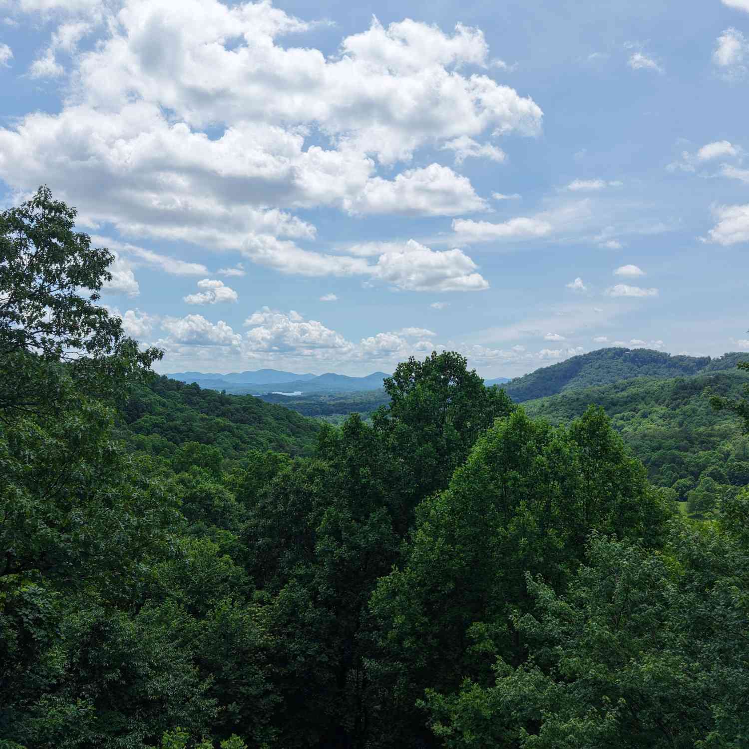 Vacant Land For Sale - LOT 30 High Meadows<br/> Hayesville, NC 28904