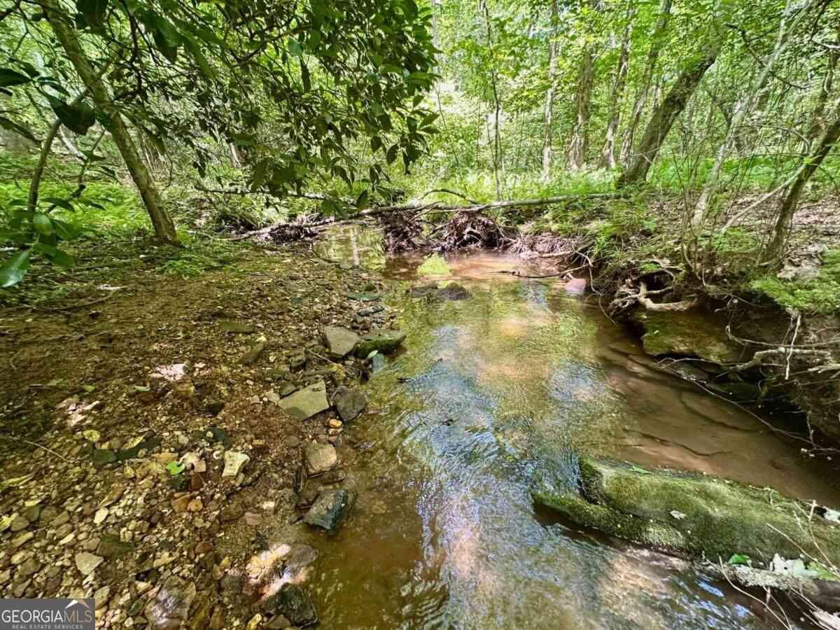 Vacant Land For Sale - 130 Patriot View Drive<br/> Dahlonega, GA 30533