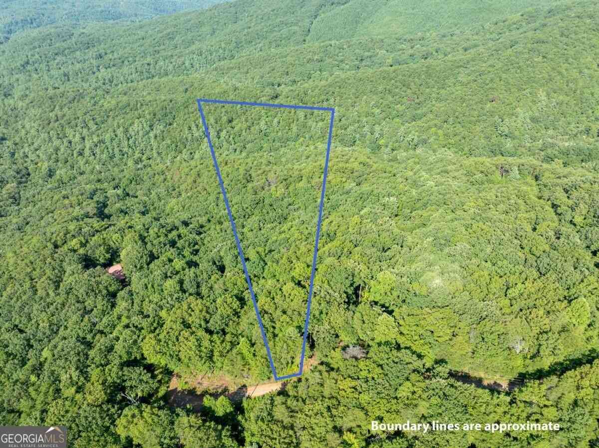 Vacant Land For Sale - LOT 9 Brushy Top Drive<br/> Chatsworth, GA 30705