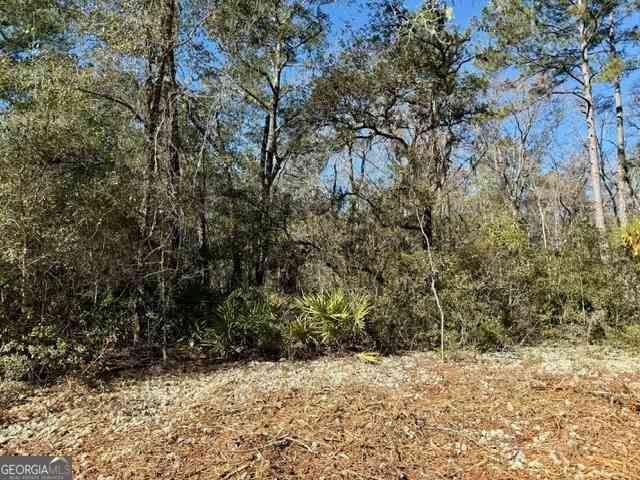 Vacant Land For Sale - Live Oak Lane Road<br/> Nevils, GA 31321