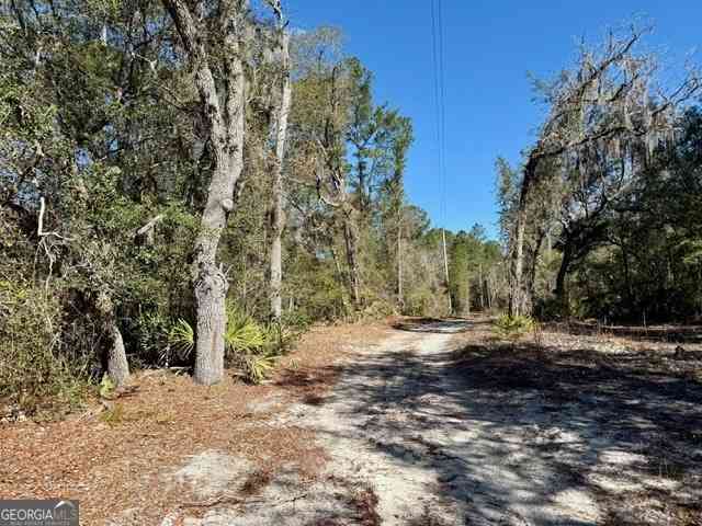 Vacant Land For Sale - Live Oak Lane Road<br/> Nevils, GA 31321