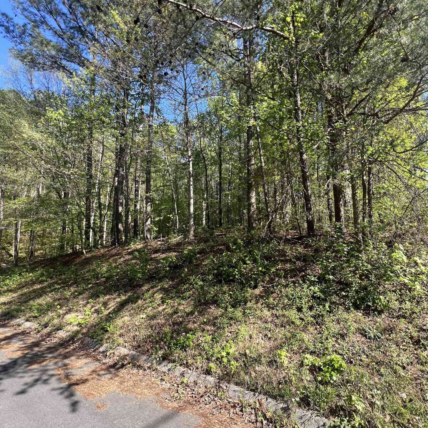 Vacant Land For Sale - LOT #4 Battle Ridge Drive<br/> Dalton, GA 30720
