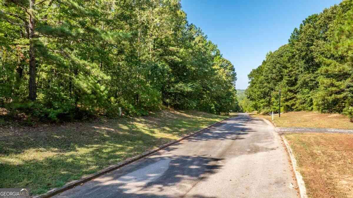 Vacant Land For Sale - 205 Long Cove Drive<br/> Lagrange, GA 30240