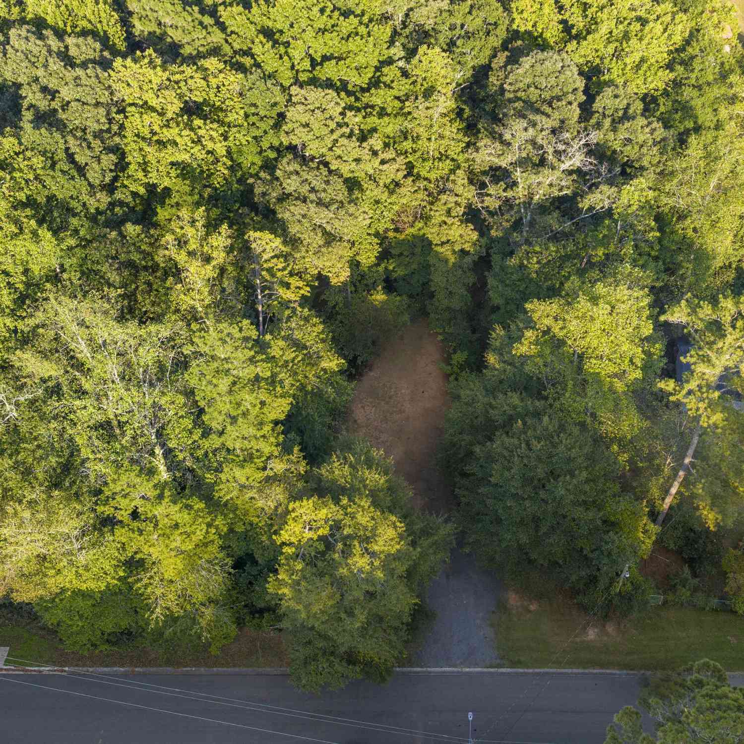 Vacant Land For Sale - 110 Little Brook Drive<br/> Woodstock, GA 30188