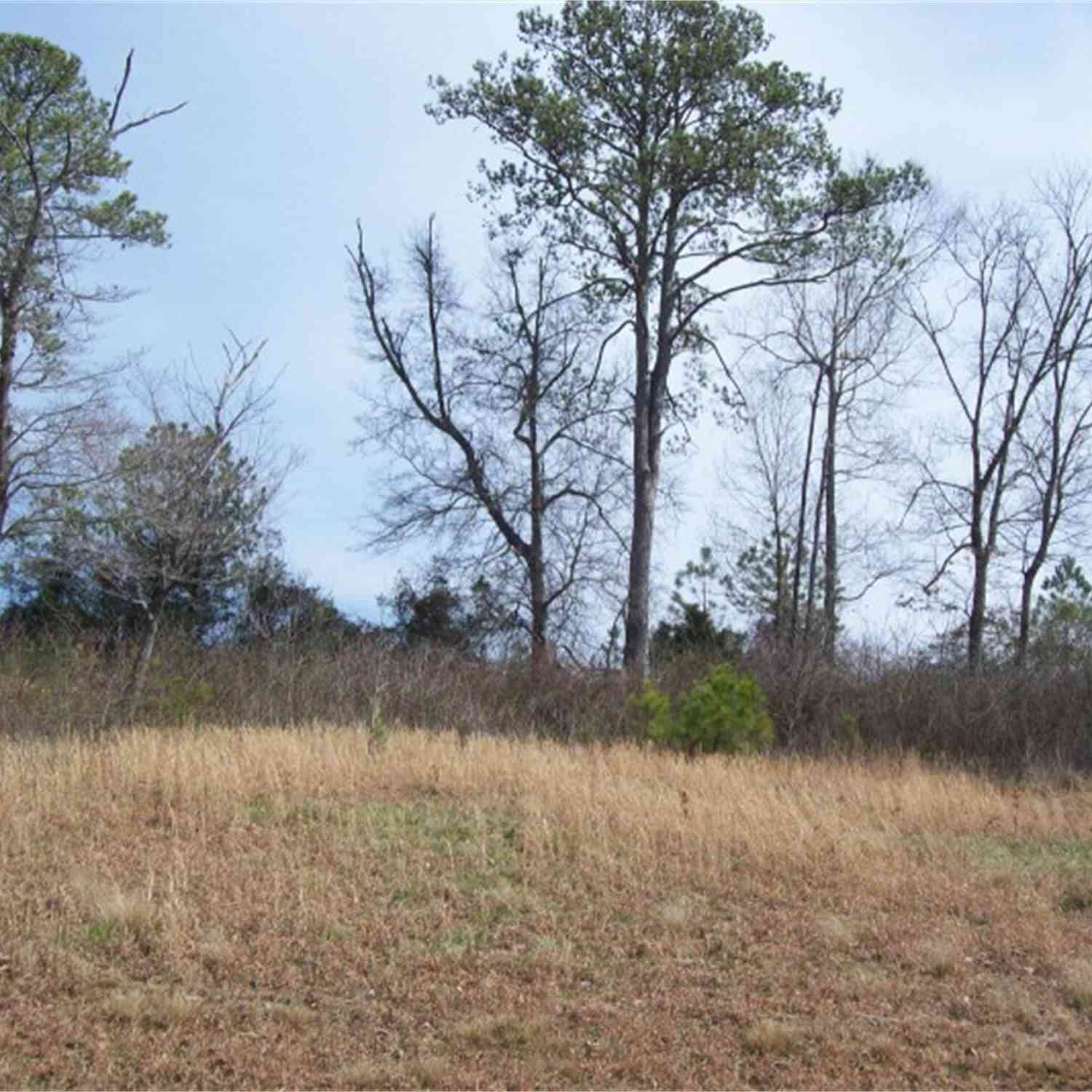Vacant Land For Sale - Tipi Lane<br/> Chatsworth, GA 30705