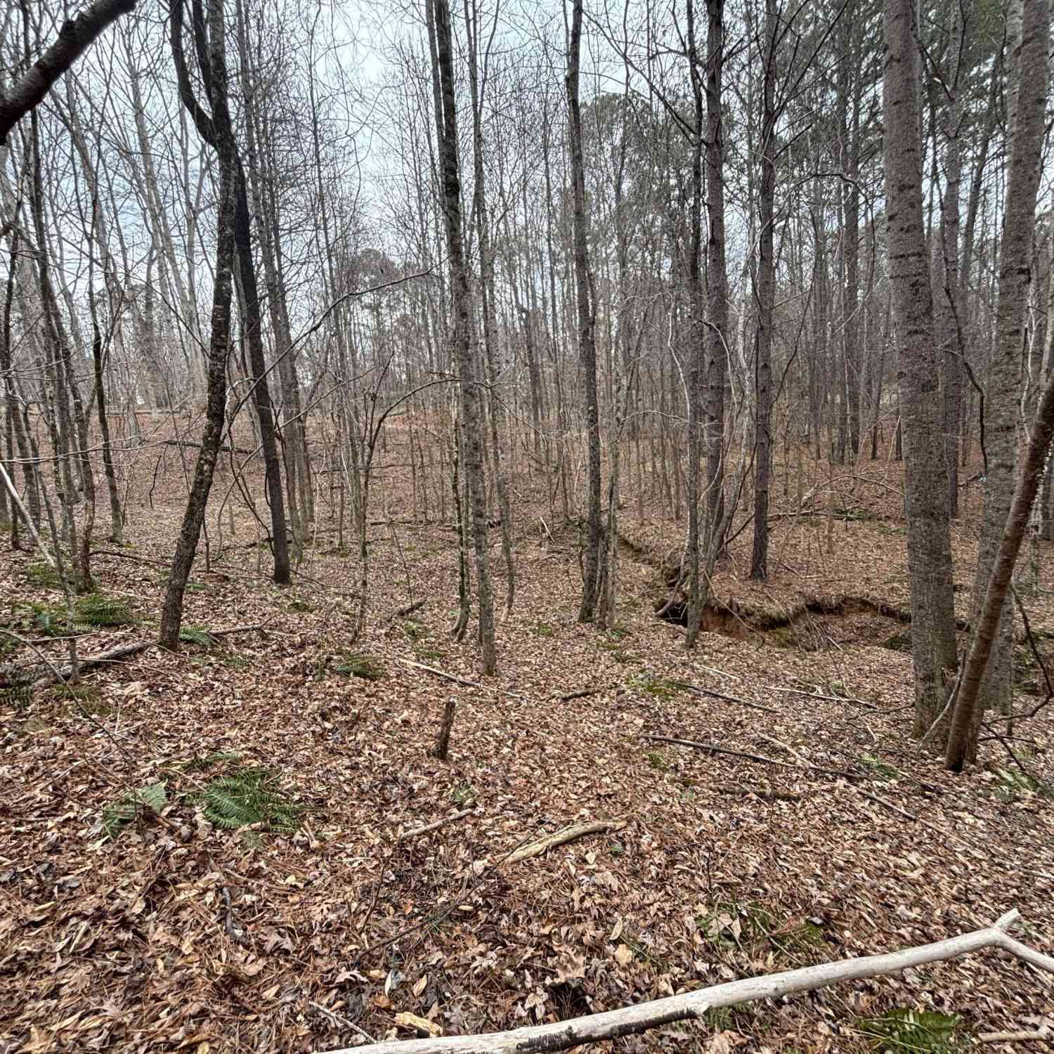 Vacant Land For Sale - Oconee Rd Lot 1<br/> Buckhead, GA 30625