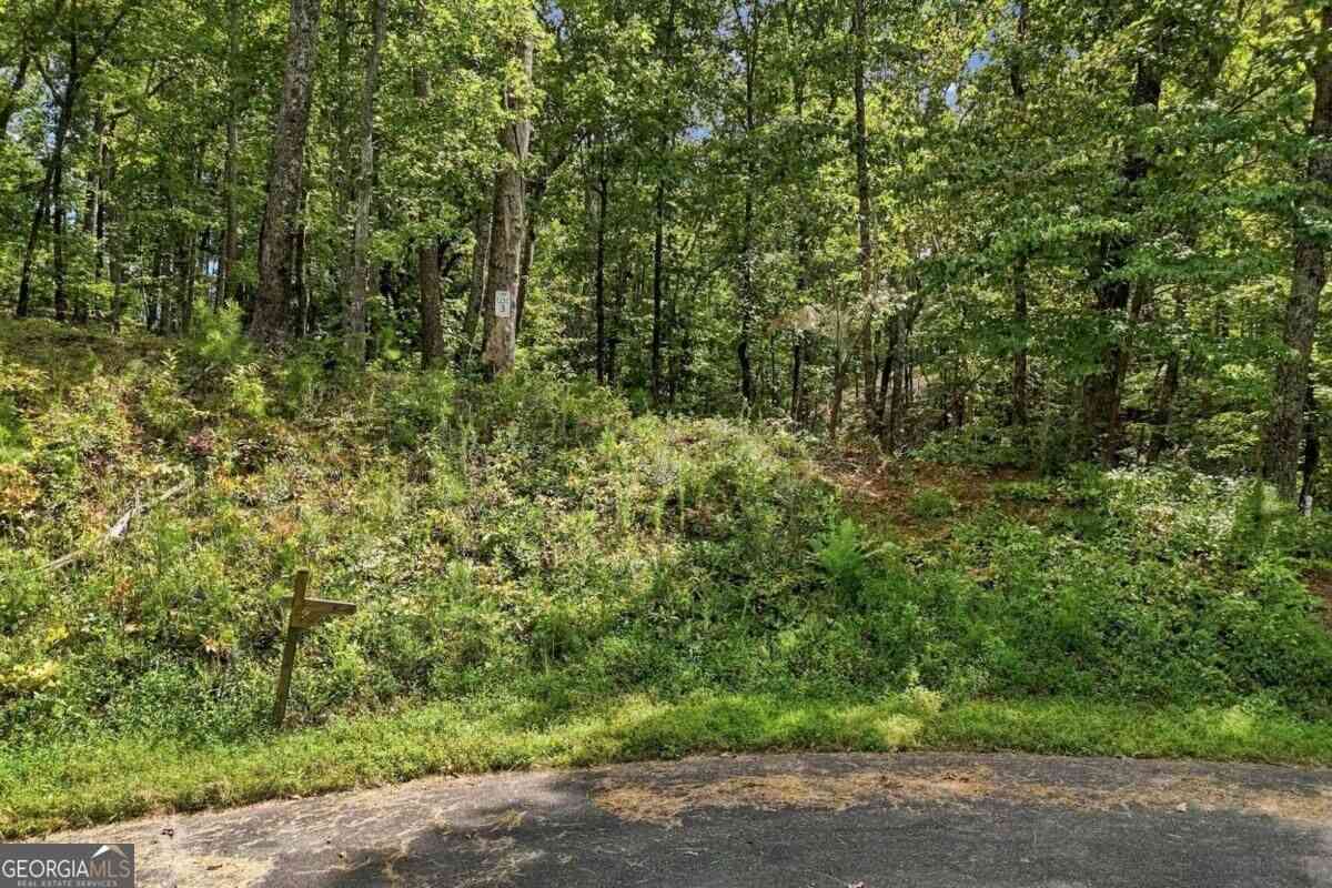 Vacant Land For Sale - 3 Turkey Spur Drive<br/> Ellijay, GA 30540