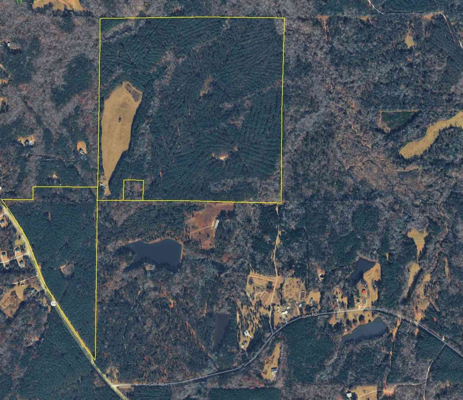 Vacant Land For Sale - Hwy 315<br/> Harris County, Cataula, GA 31804
