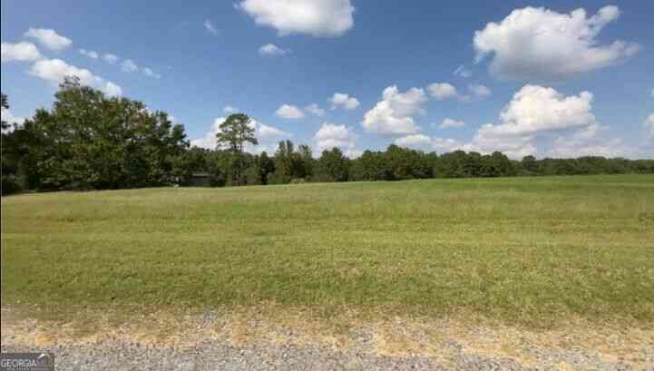 Vacant Land For Sale - Drew Abney Circle<br/> Cochran, GA 31014