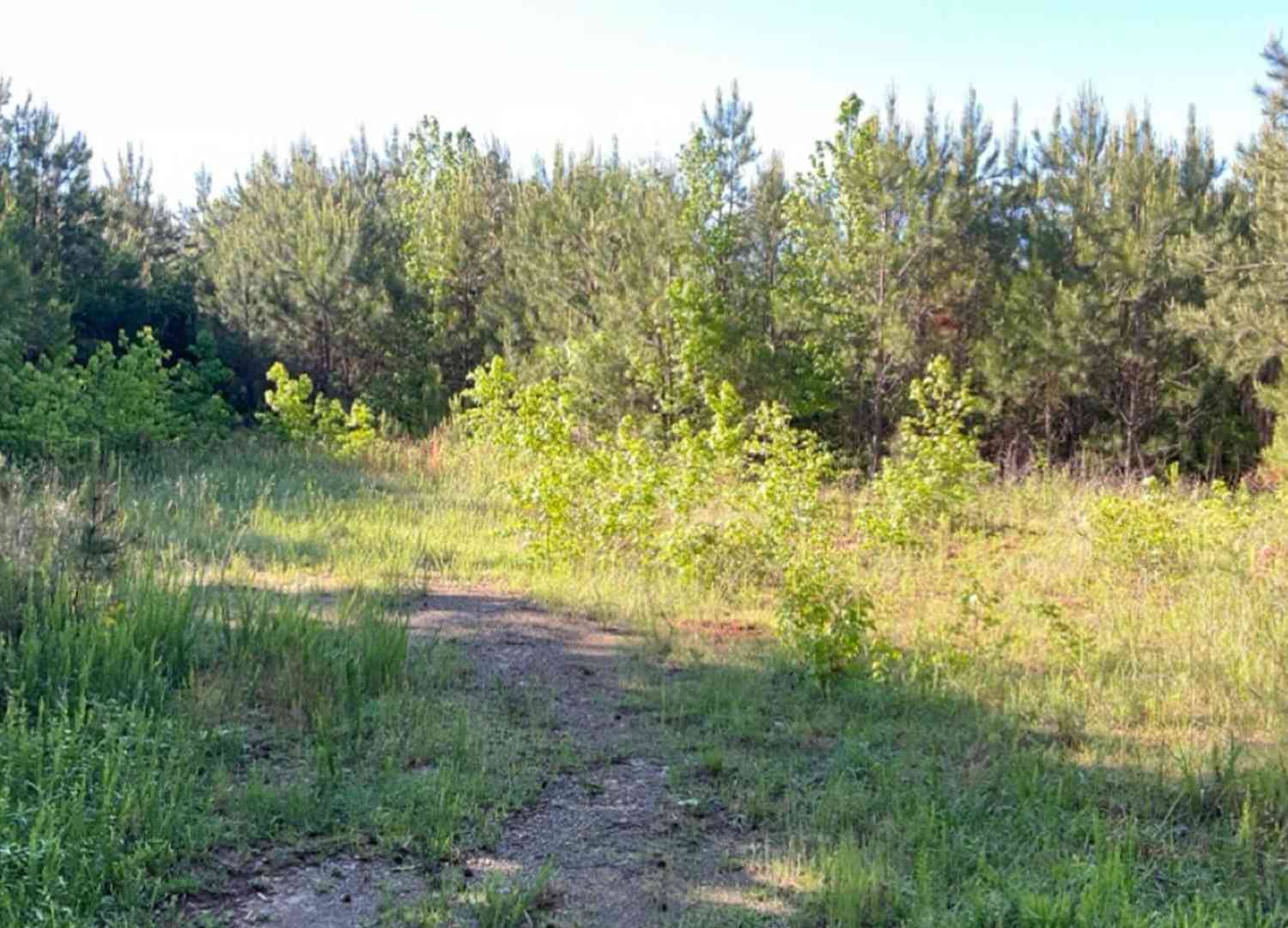 Vacant Land For Sale - 927 Candy Kitchen Road<br/> Haralson County, Temple, GA 30179