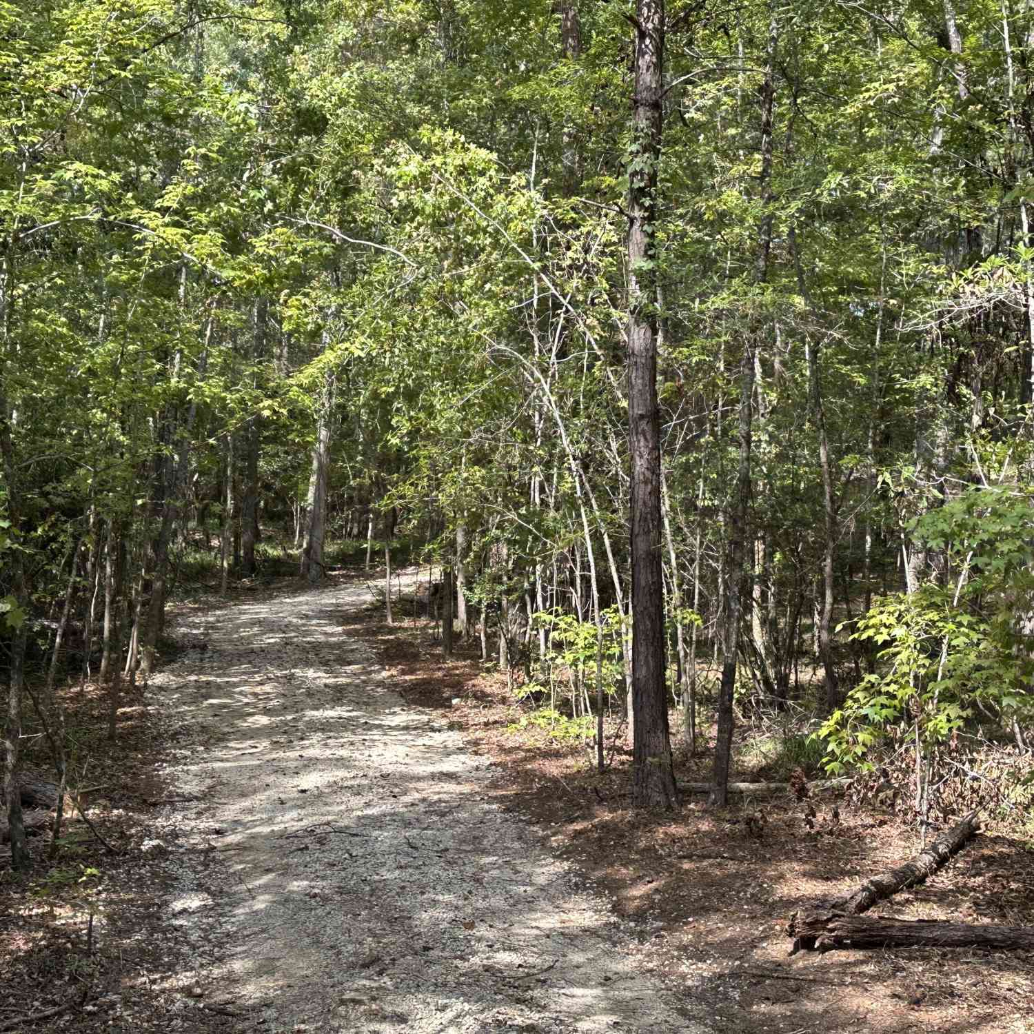 Vacant Land For Sale - 119 Hough Johnson Road<br/> Haddock, GA 31033