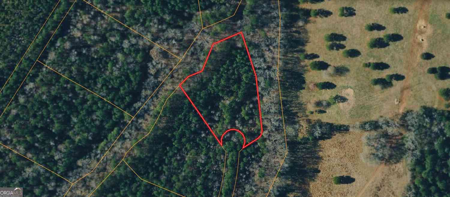 Vacant Land For Sale - Crosscreek Lane<br/> Sparta, GA 31087