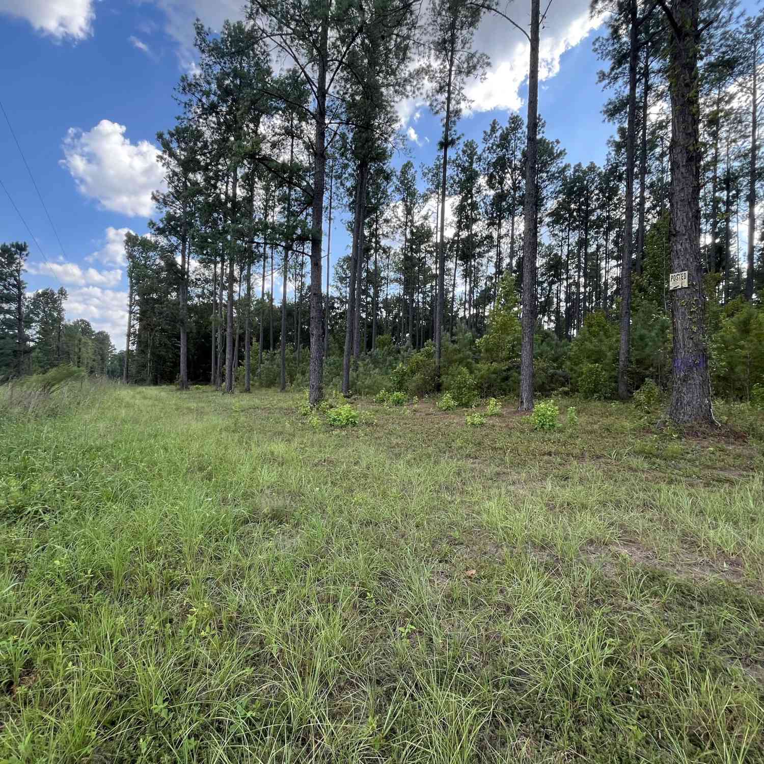 Vacant Land For Sale - Mark Wood Rd. Lot 3<br/> Dexter, GA 31019