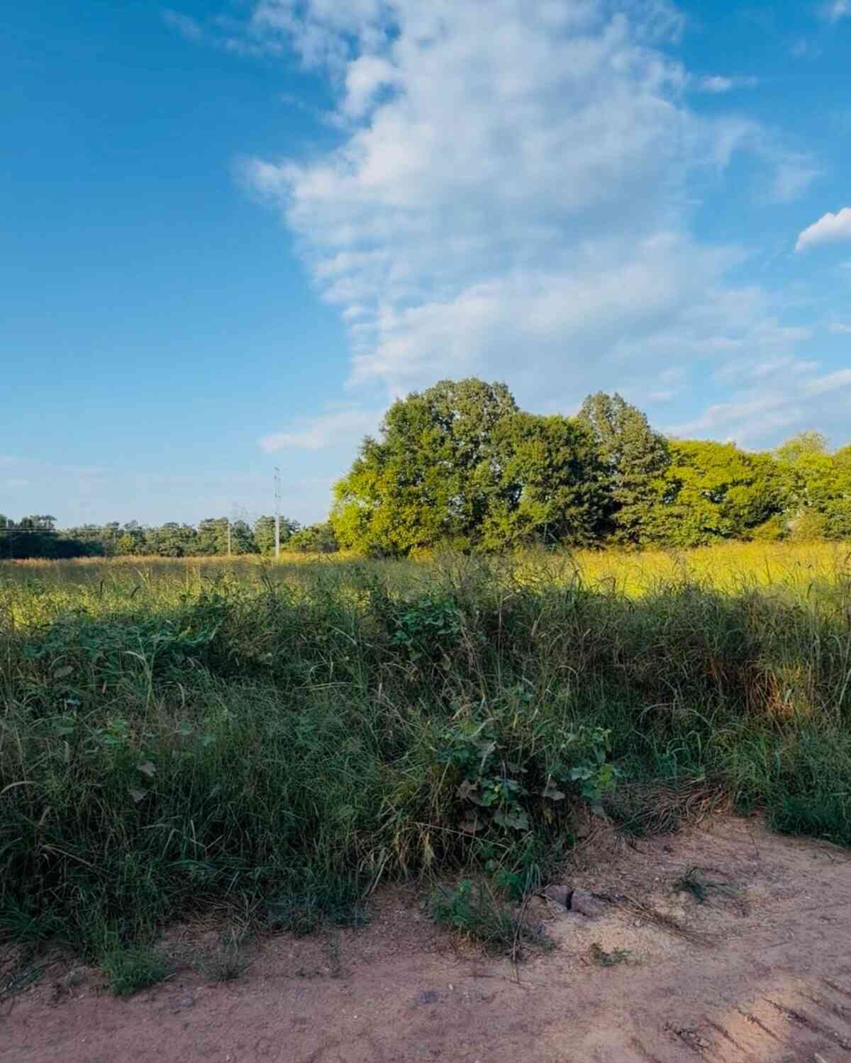 Vacant Land For Sale - 474 Mcdaniel Station Road<br/> Calhoun, GA 30701