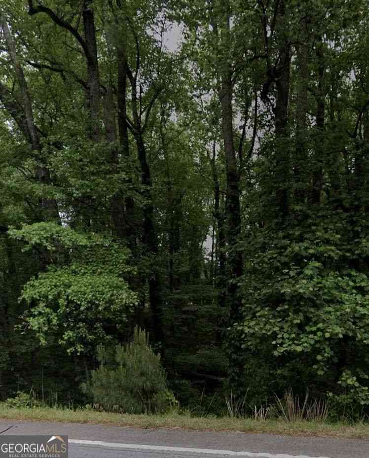 Vacant Land For Sale - 2720 E Highway 166<br/> Carrollton, GA 30117