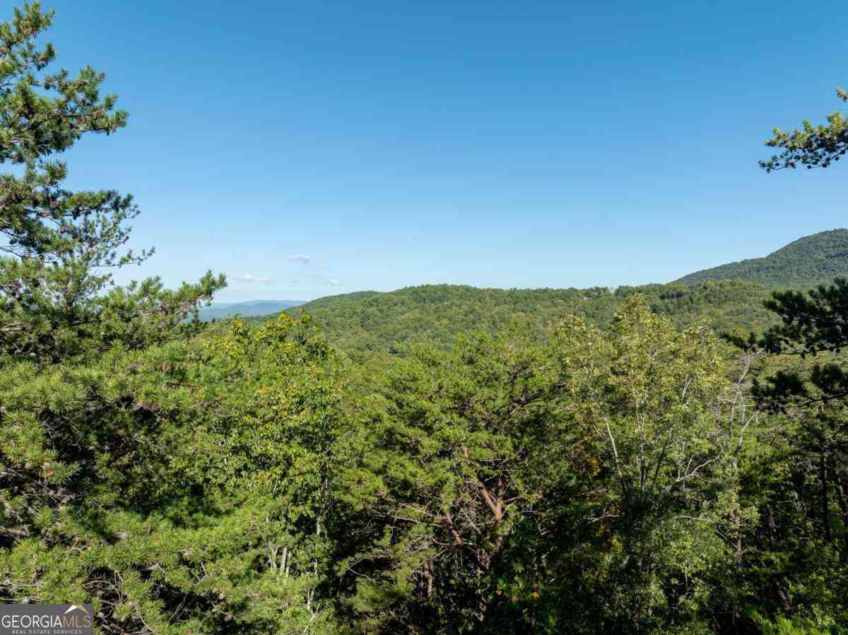 Vacant Land For Sale - TRACT 1 Turniptown Road<br/> Ellijay, GA 30536