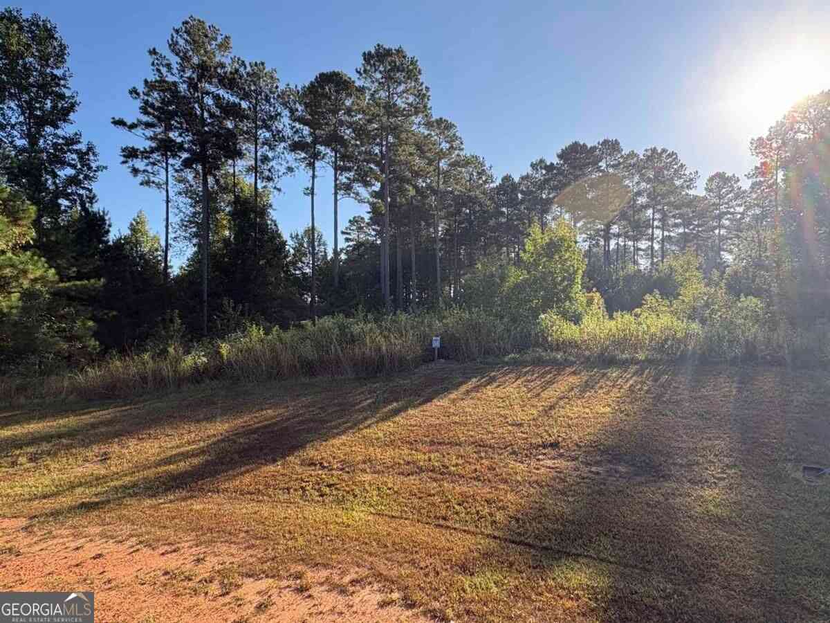 Vacant Land For Sale - 107 Oakline Court<br/> Eatonton, GA 31024