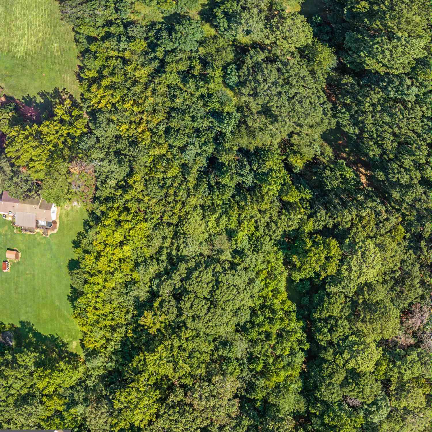 Vacant Land For Sale - 589 Weldon Road<br/> Palmetto, GA 30268