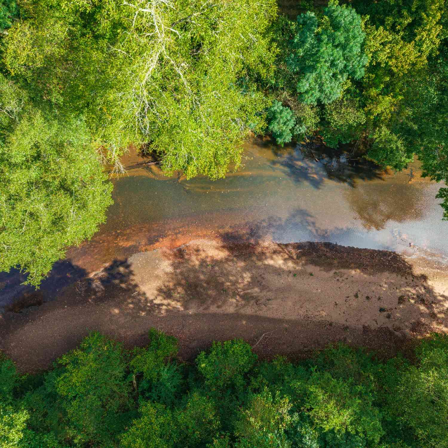 Vacant Land For Sale - River Walk<br/> Monroe County, Forsyth, GA 31029