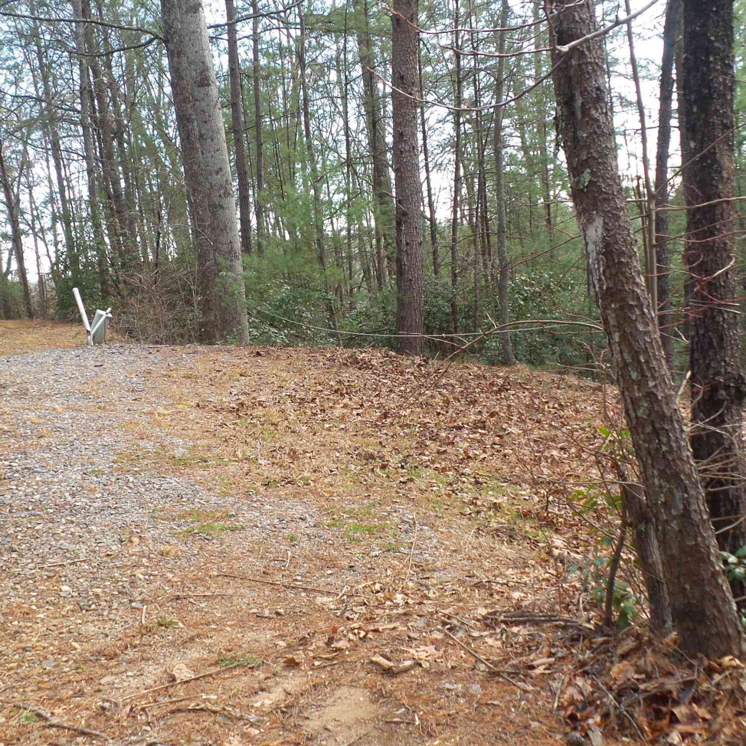 Vacant Land For Sale - Bahn Innsbruck<br/> Helen, GA 30545