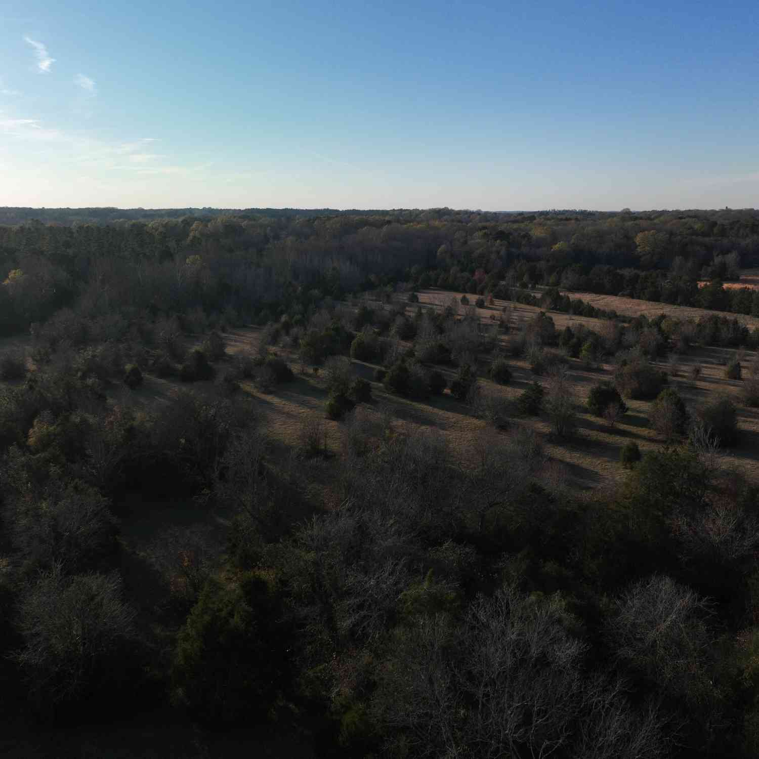 Vacant Land For Sale - 03 Seneca St Extension<br/> Calhoun Falls, SC 29628