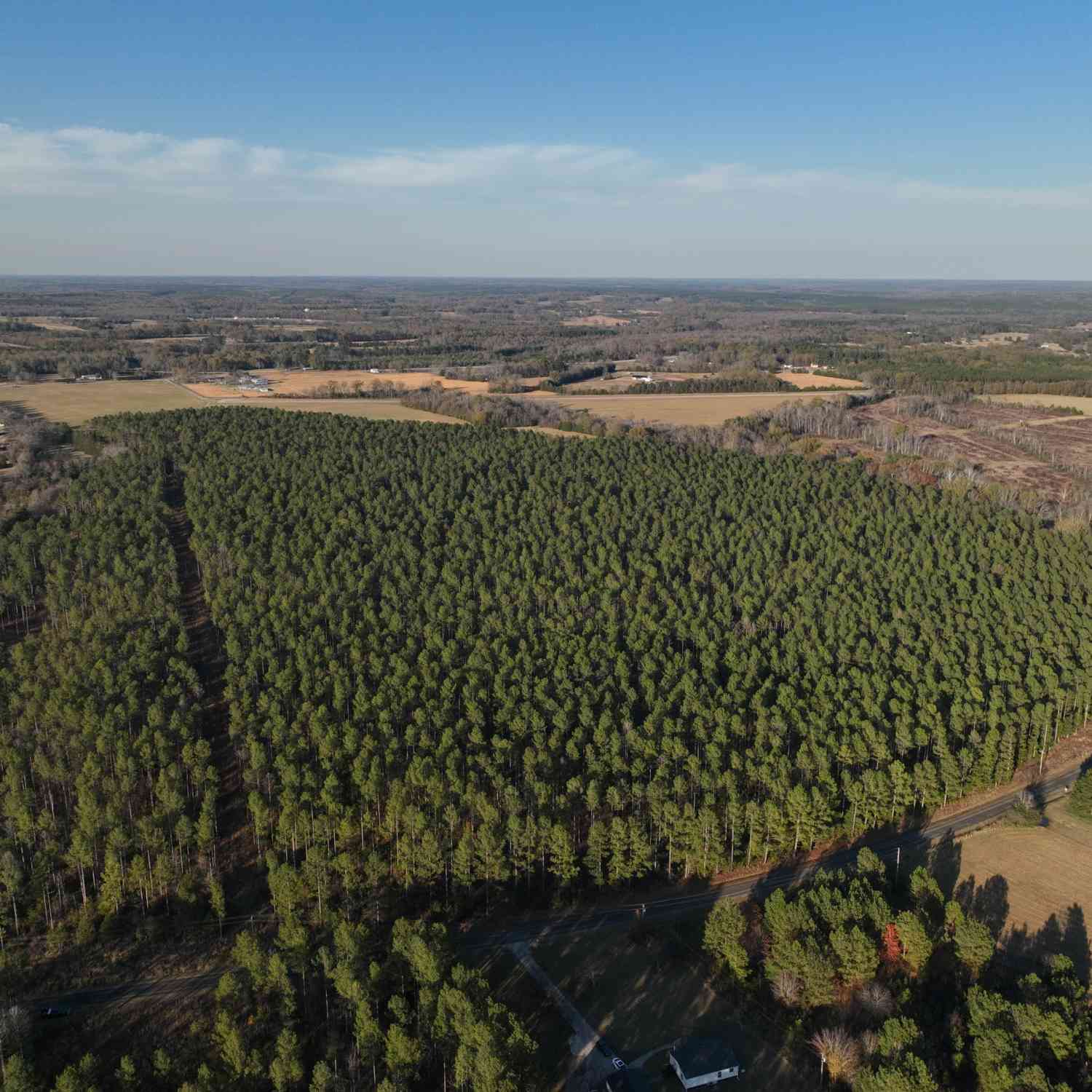 Vacant Land For Sale - 04 Seneca St Extension<br/> Calhoun Falls, SC 29628