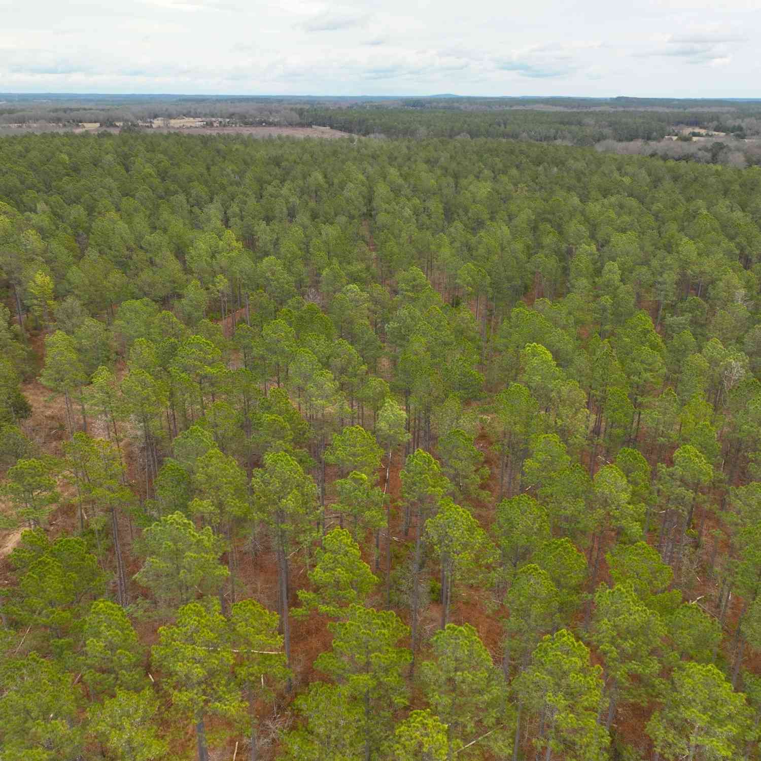 Vacant Land For Sale - 05 Seneca St Extension<br/> Calhoun Falls, SC 29628