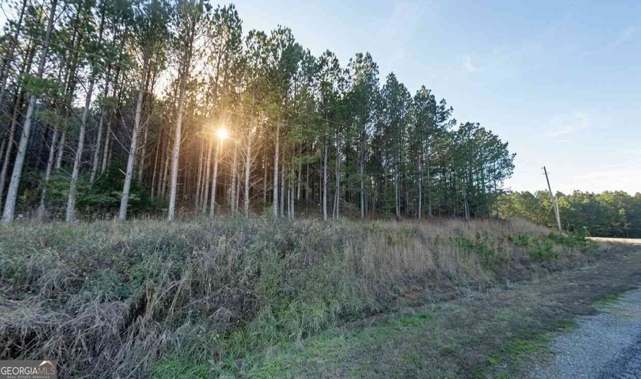 Vacant Land For Sale - Sipsey Overlook Road #LOT 130<br/> Double Springs, AL 35553
