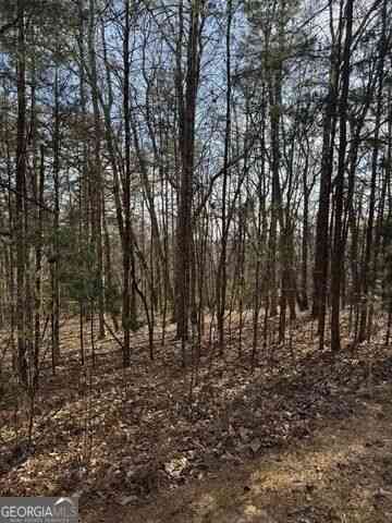 Vacant Land For Sale - Scarlett Pippin Lane #1604<br/> Clarkesville, GA 30523