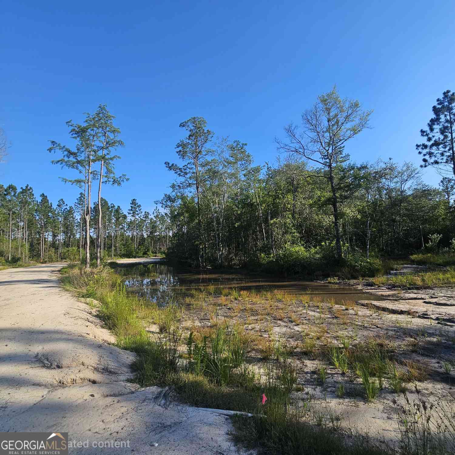 Vacant Land For Sale - Mill Branch Club Road Lot 1p<br/> Pembroke, GA 31321