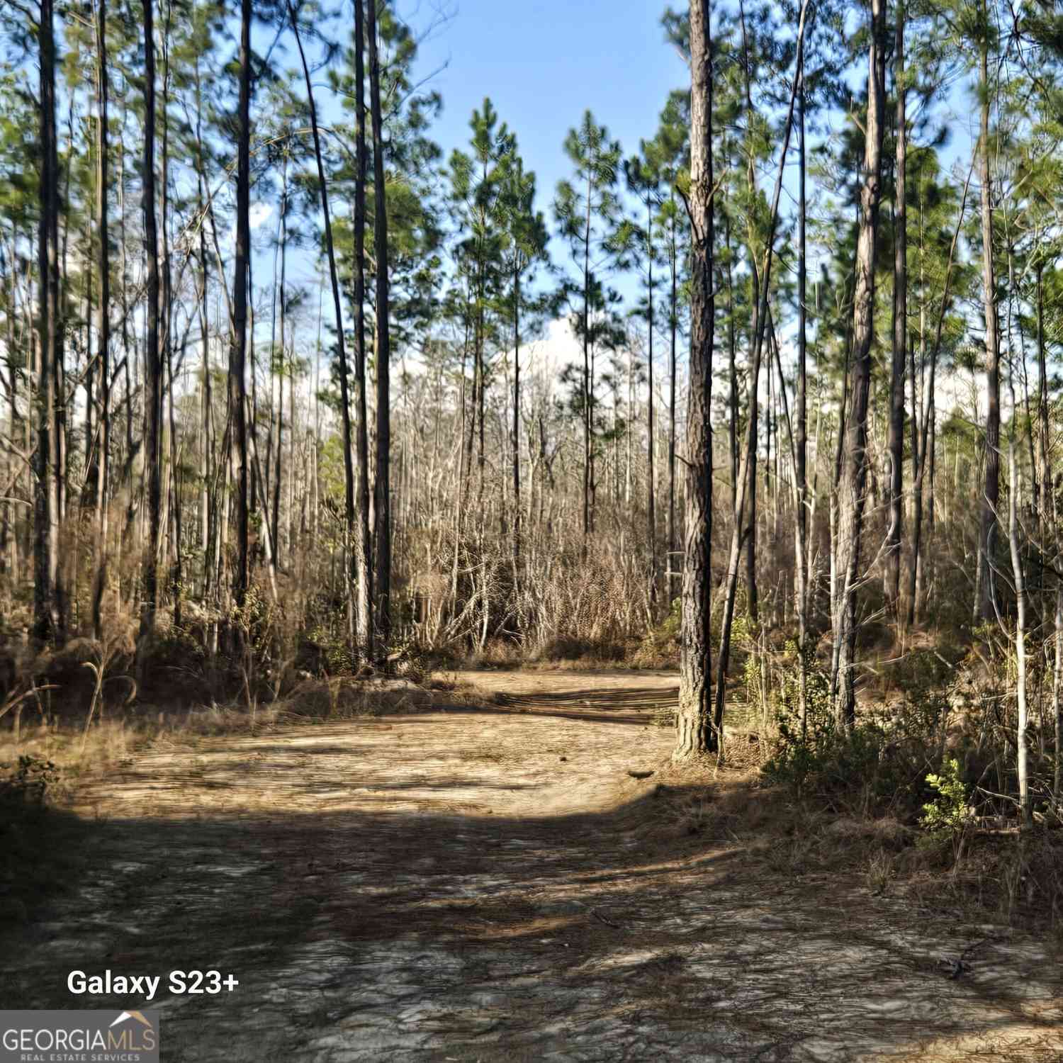 Vacant Land For Sale - Mill Branch Club Road Lot 1q<br/> Pembroke, GA 31321