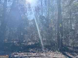 Vacant Land For Sale - 138-140 Dogwood Lane<br/> Midway, GA 31320