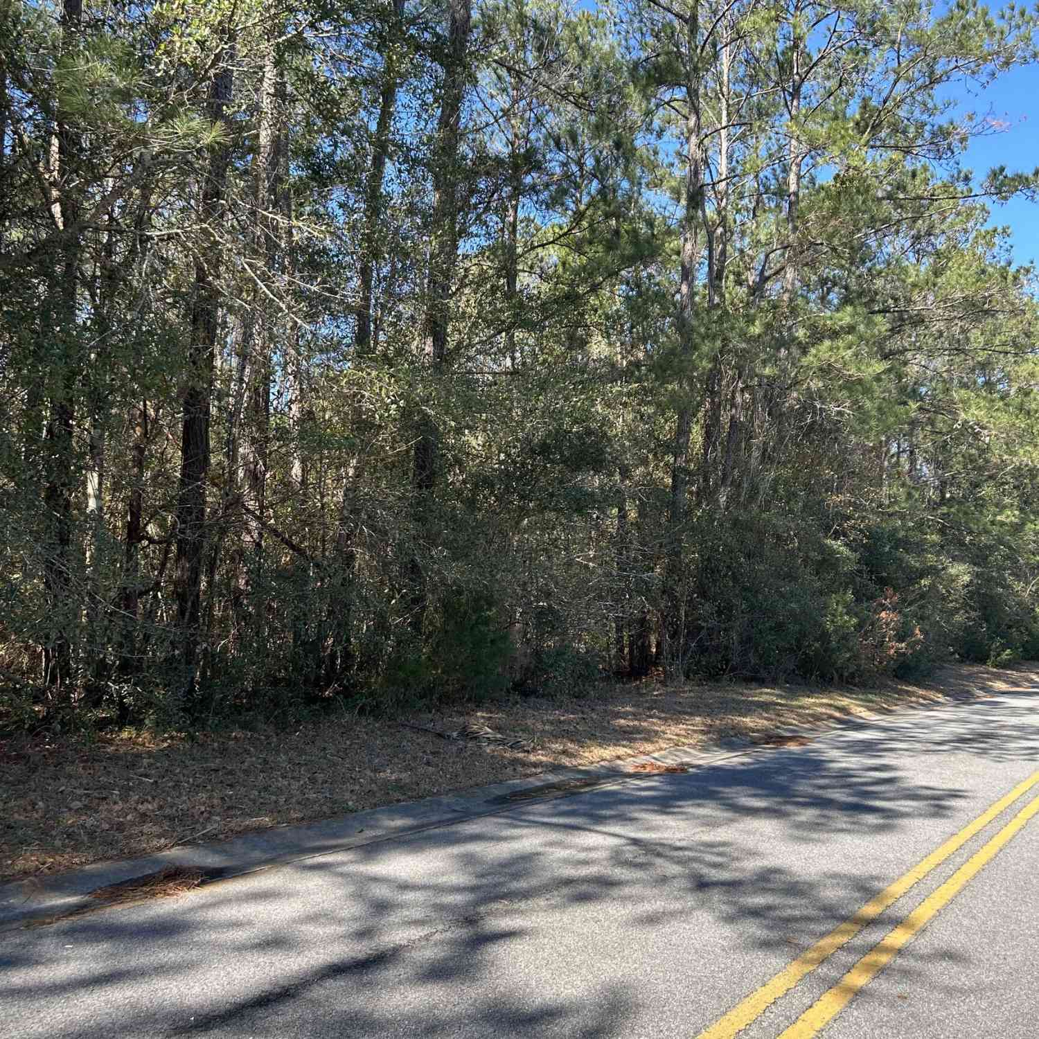 Vacant Land For Sale - LOT 4 Palm Island Drive<br/> Midway, GA 31320