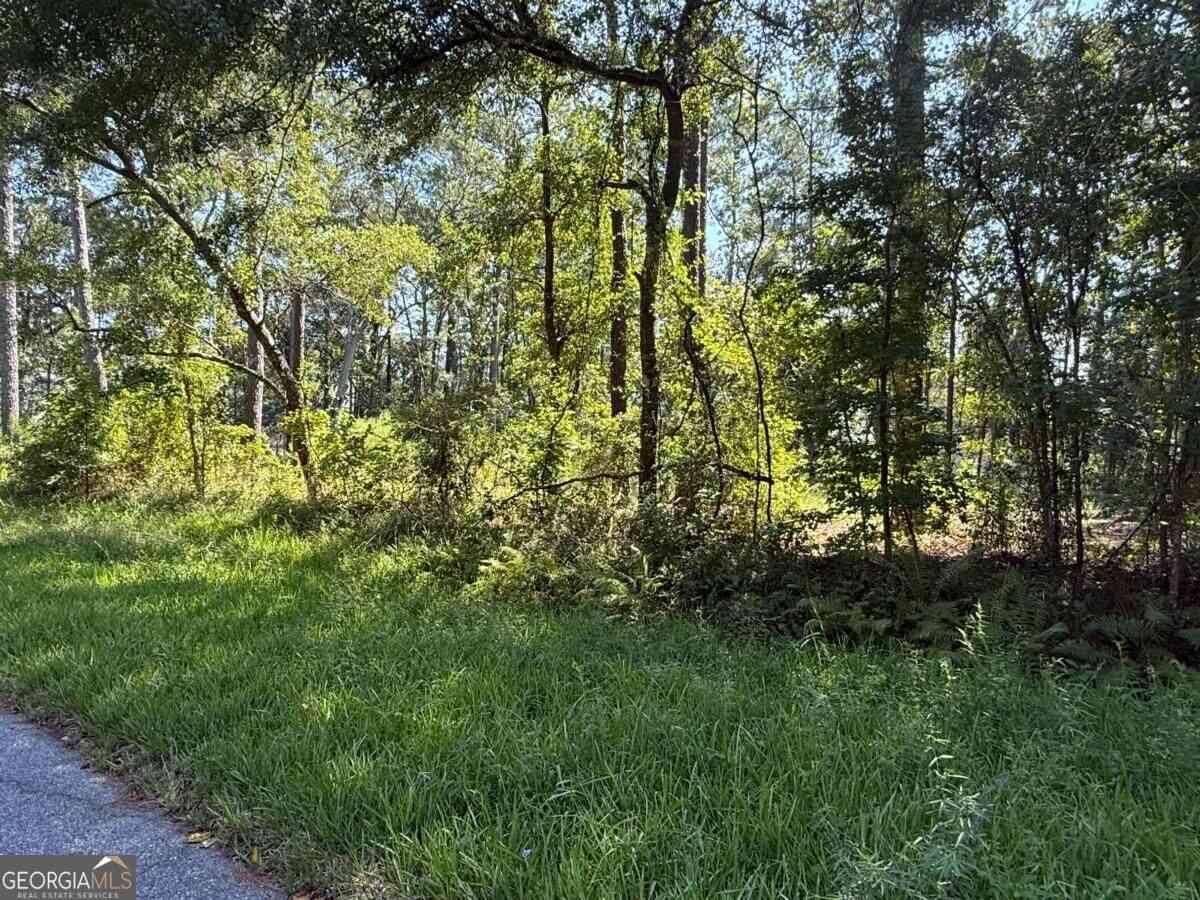 Vacant Land For Sale - 129 Sutherland Drive<br/> Brunswick, GA 31525