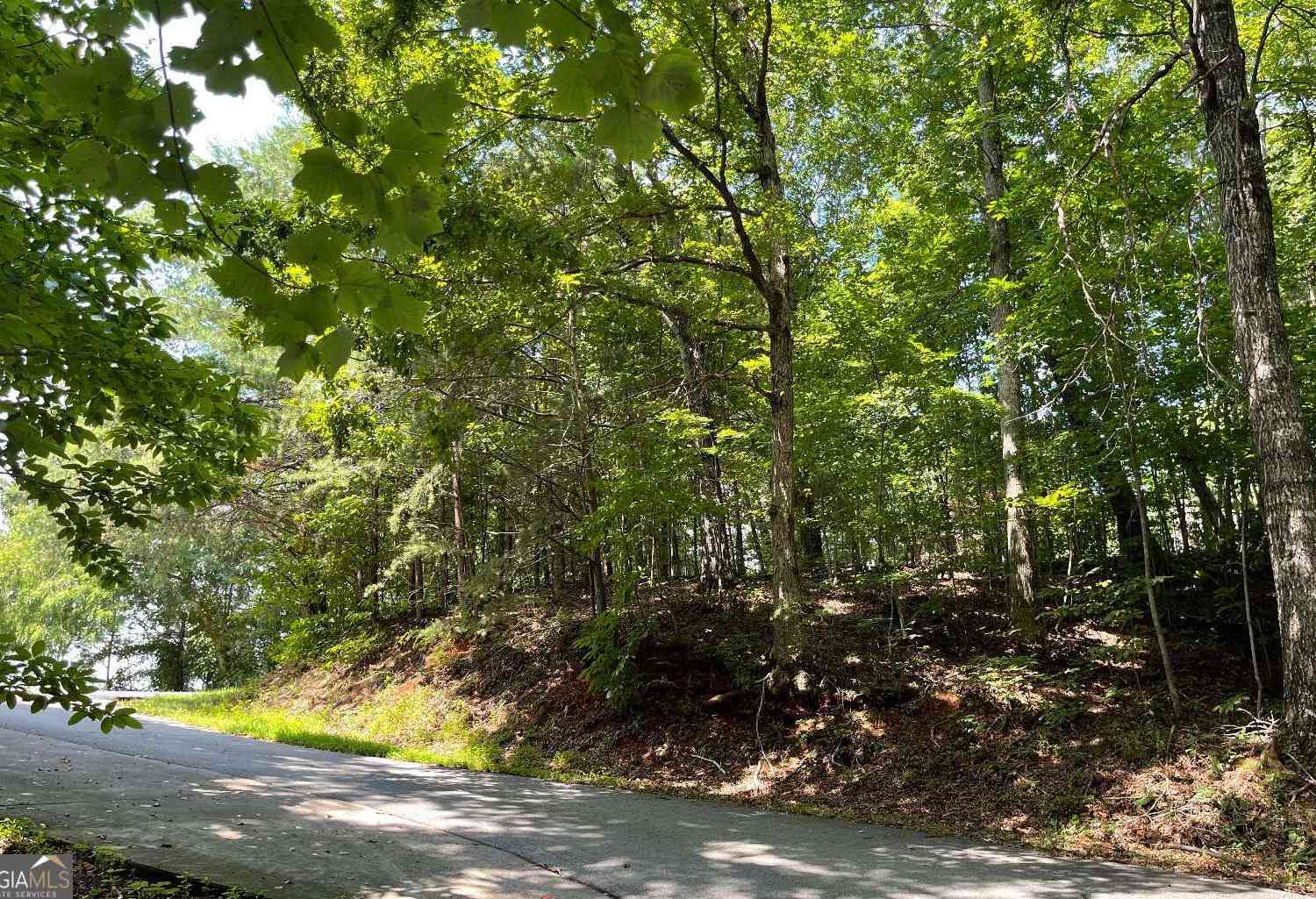 Vacant Land For Sale - #7 Mountain Drive North<br/> Hiawassee, GA 30546