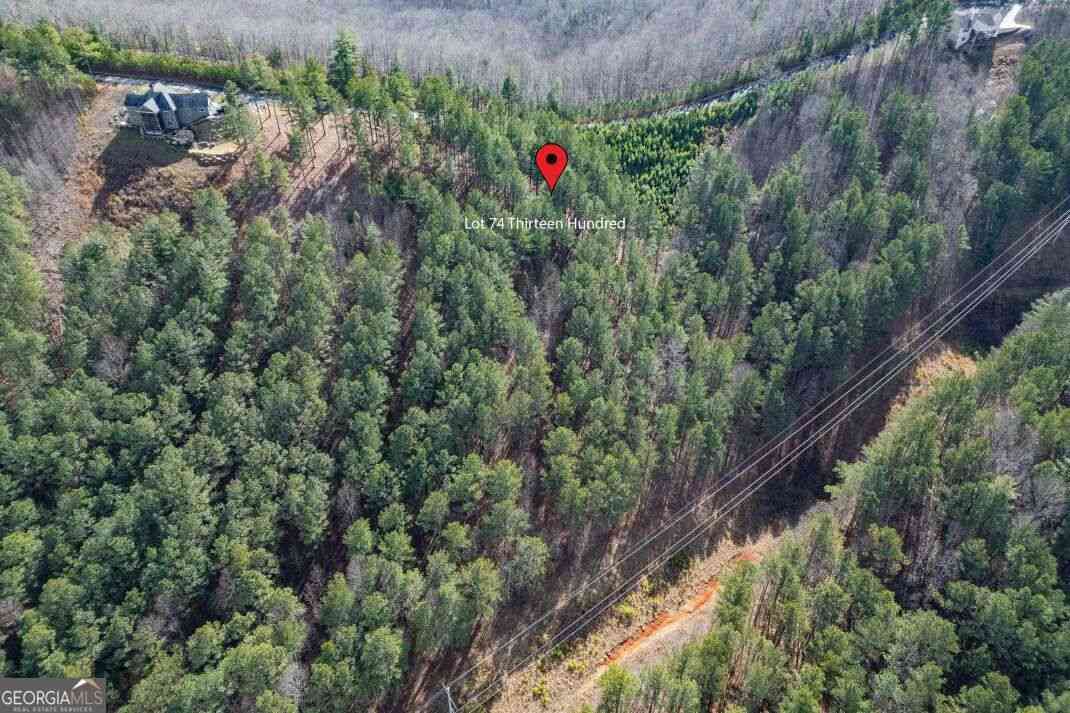 Vacant Land For Sale - LOT 74 Thirteen Hundred #74<br/> Blairsville, GA 30512