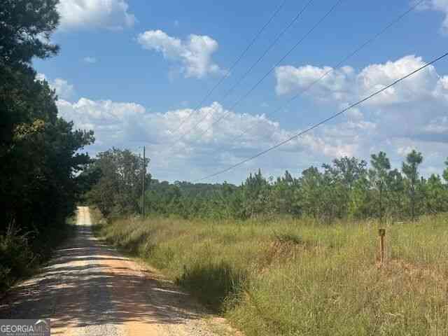 Vacant Land For Sale - Cook Road #TRACT 10<br/> Monticello, GA 31064