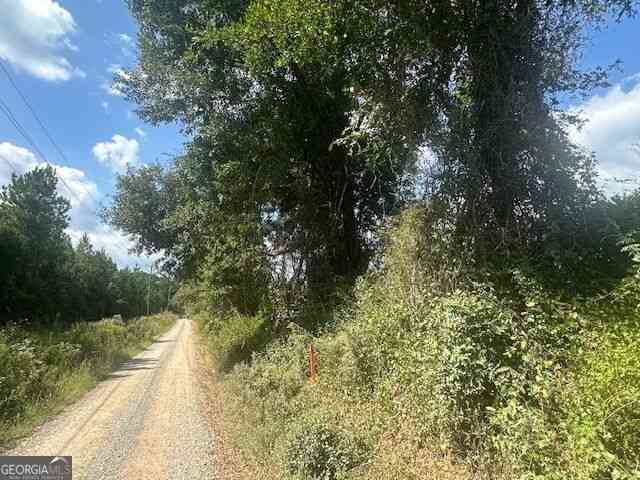 Vacant Land For Sale - Cook Road #TRACT 13<br/> Monticello, GA 31064